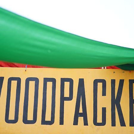 Woodpacker Hostel Auroville Pondicherry Εξωτερικό φωτογραφία