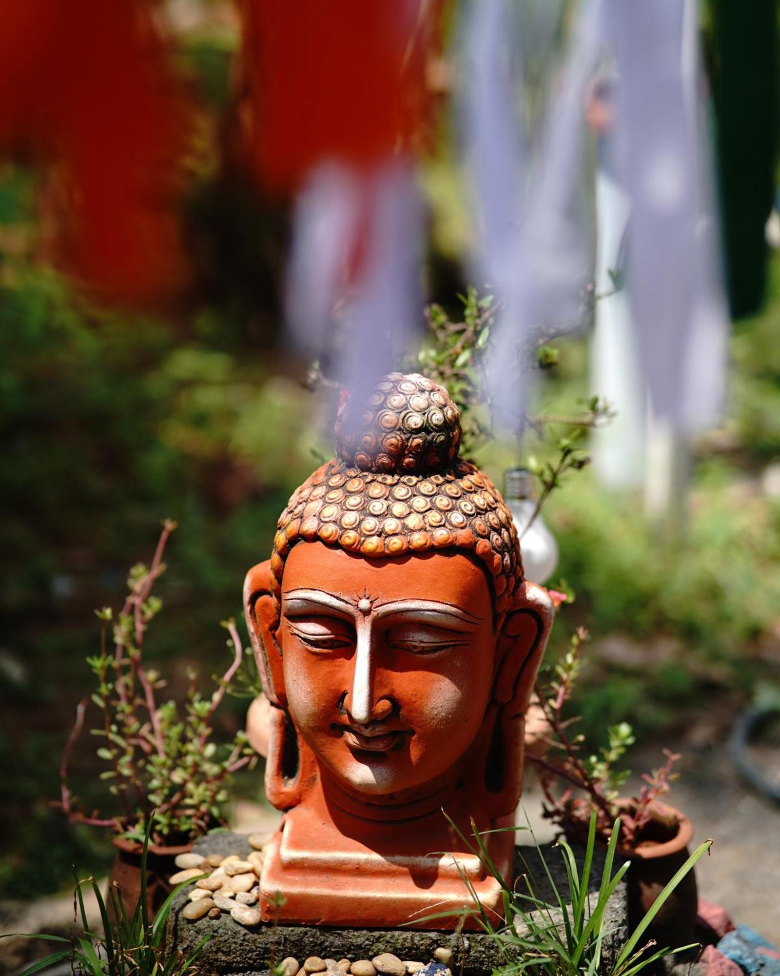 Woodpacker Hostel Auroville Pondicherry Εξωτερικό φωτογραφία